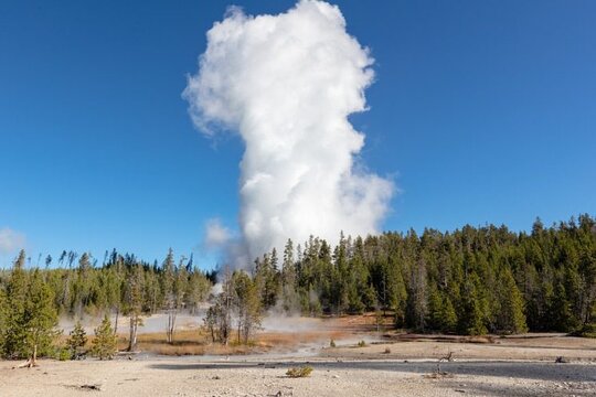Tour image 10