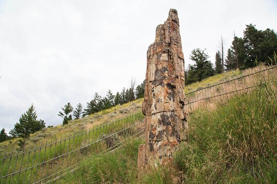 Tour image 10