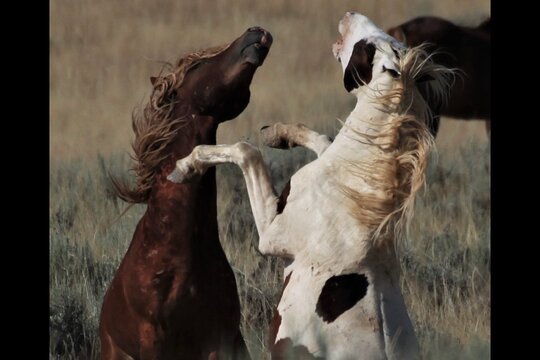 Tour image 1
