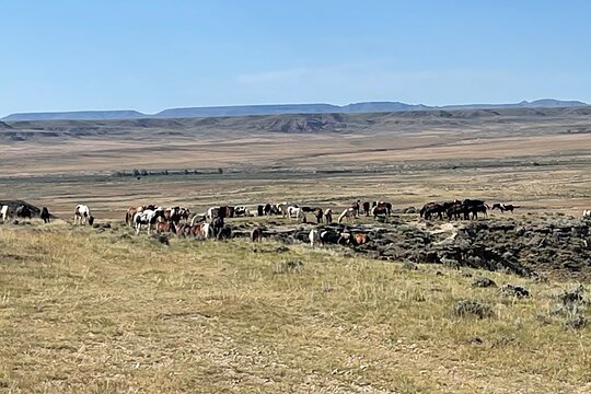 Tour image 13